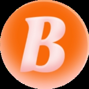 Botsfolio Logo